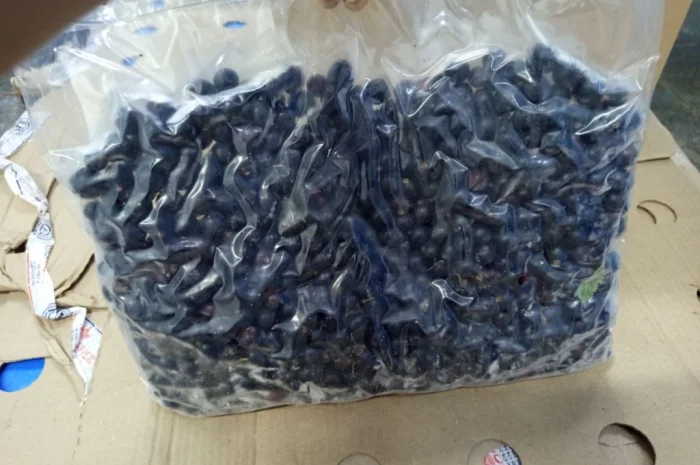 Продам чорну смородину шокової заморозки 2025 р.в- фото № 1