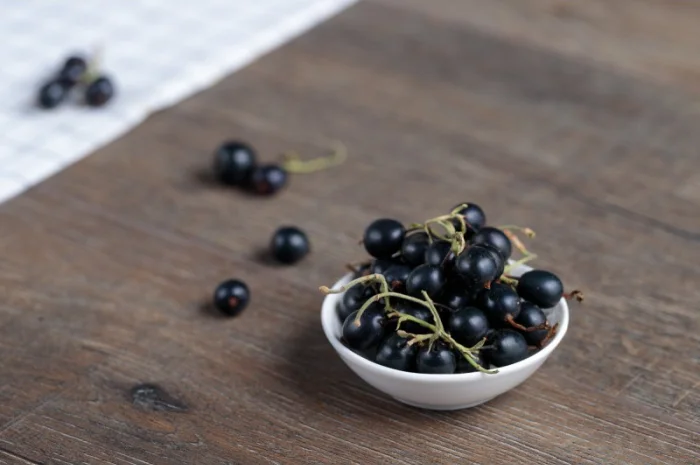 Підприємство купує смородину- фото № 1