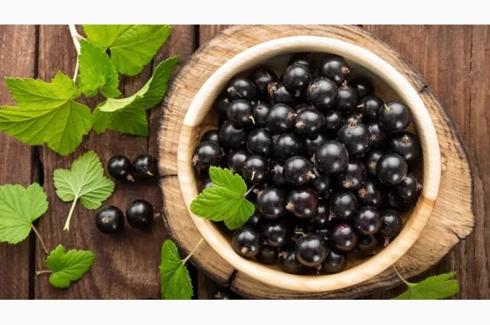 Купую смородину від населення та заготувачів- фото № 1