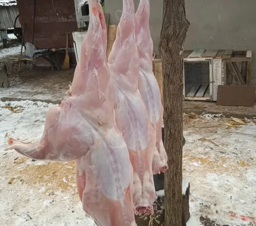 Продается мясо кролика, тушки- фото № 1