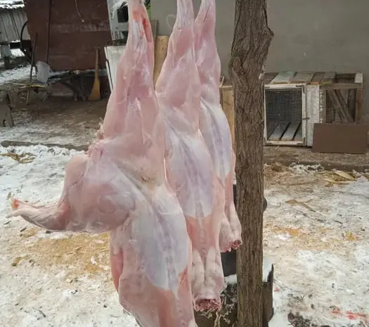 Продам мясо кролика, тушка- фото № 1