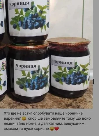 Сушена чорниця- фото № 1