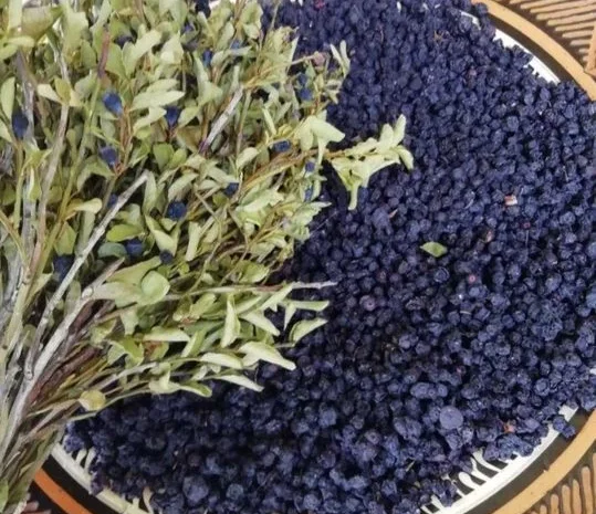 Сушена чорниця- фото № 3
