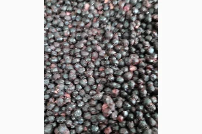 Купуємо чорницю заморожену- фото № 1