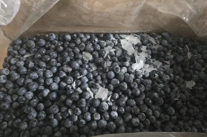 Продается мороженая черника- фото № 1