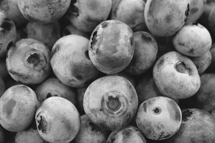 Куплю чорницю с/м 1-2 палети в ящиках- фото № 1