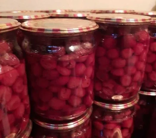 Сушена чорниця лісова- фото № 9