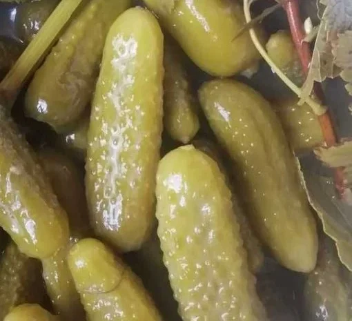 Сушена чорниця лісова- фото № 11