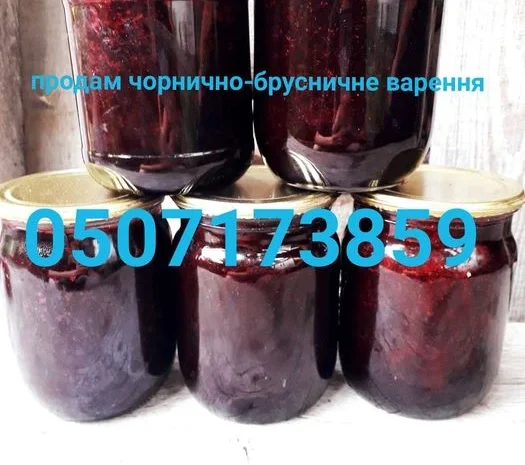 Сушена чорниця лісова- фото № 3