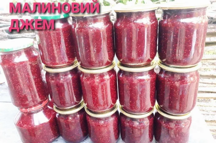 Сушена чорниця лісова- фото № 4