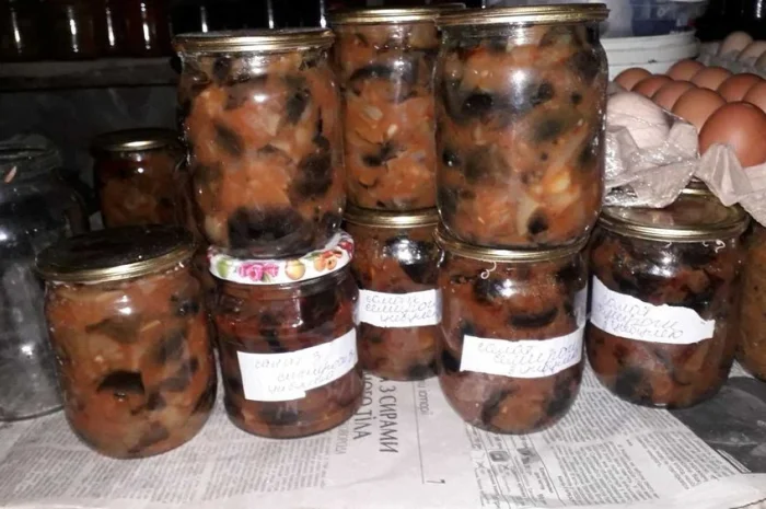 Сушена чорниця лісова- фото № 6