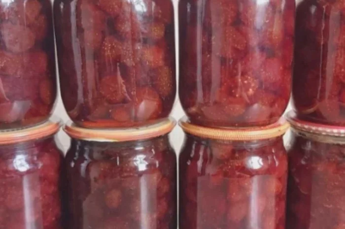 Сушена чорниця лісова- фото № 8