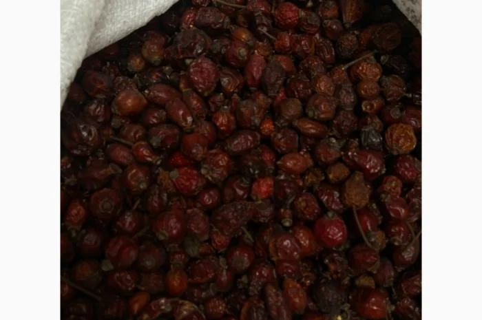 Продам суху Шипшину 2025р- фото № 1