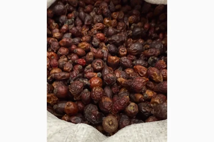 Продам суху Шипшину 2025р- фото № 5