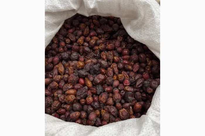 Продам суху Шипшину 2025р- фото № 6