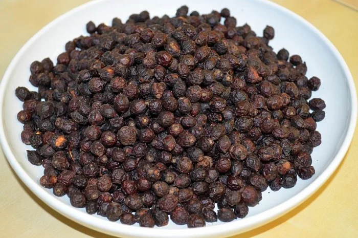 Продам шиповник в объеме- фото № 2