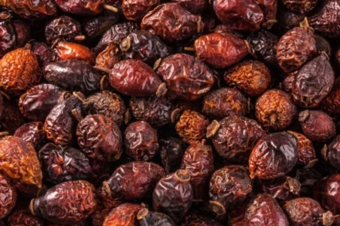 Пропонується сушена шипшина- фото № 1