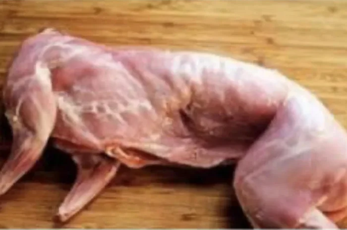 Продается туша домашнего кролика- фото № 1