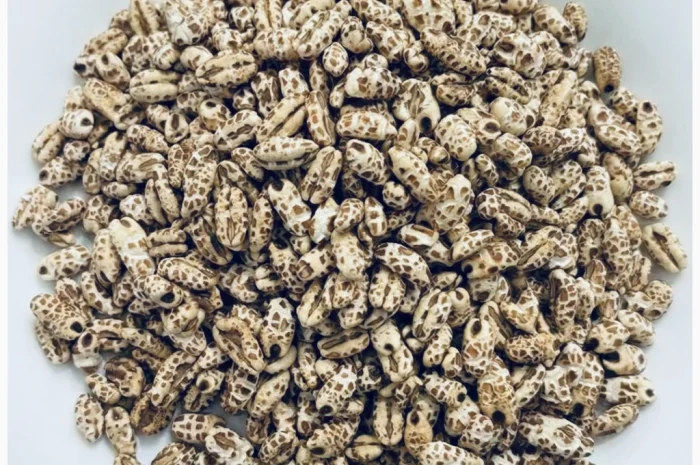 Ячмень воздушный в продаже оптом- фото № 1