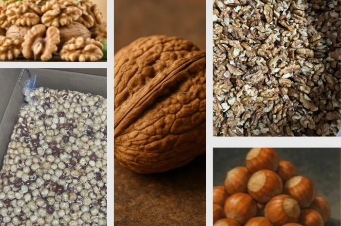 Сертифіковане виробництво з переробки волоського горіха та фундука- фото № 1