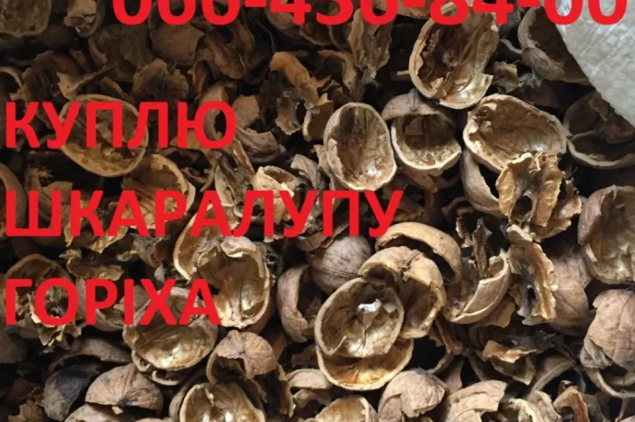 Куплю шкаралупу грецького горіха- фото № 1