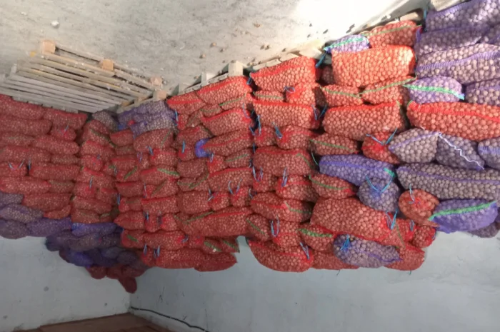 Продам горіх- фото № 1