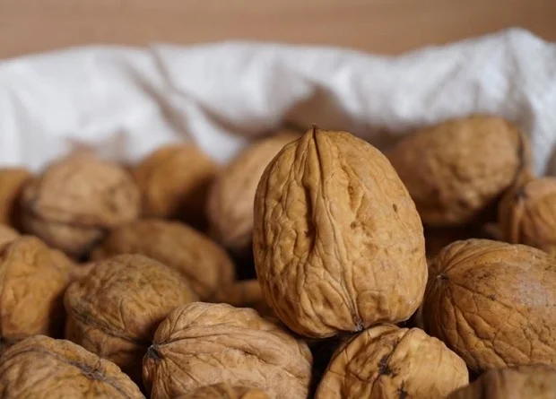 Купую волоський горіх недорого- фото № 1