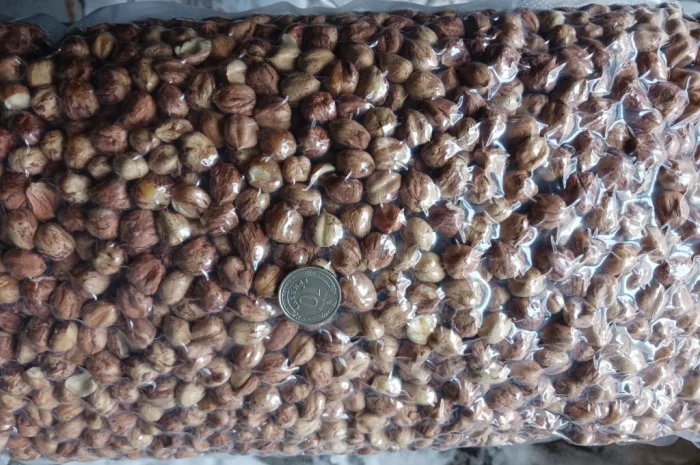 Фундук з власного саду- фото № 2