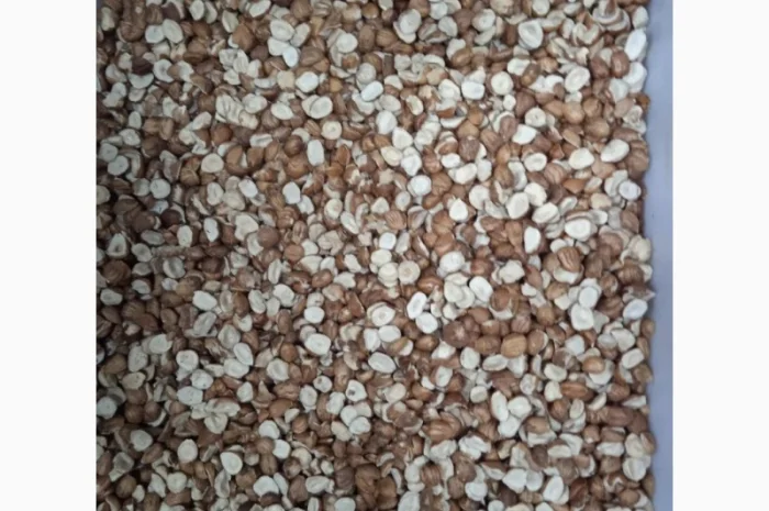 Продам фундук чищений сирий- фото № 4