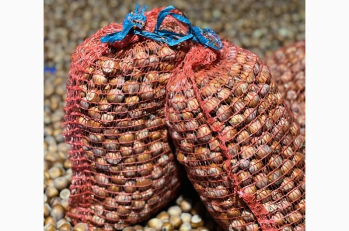 Продам неочищений фундук | Урожай 2025 | Львівська обл- фото № 4