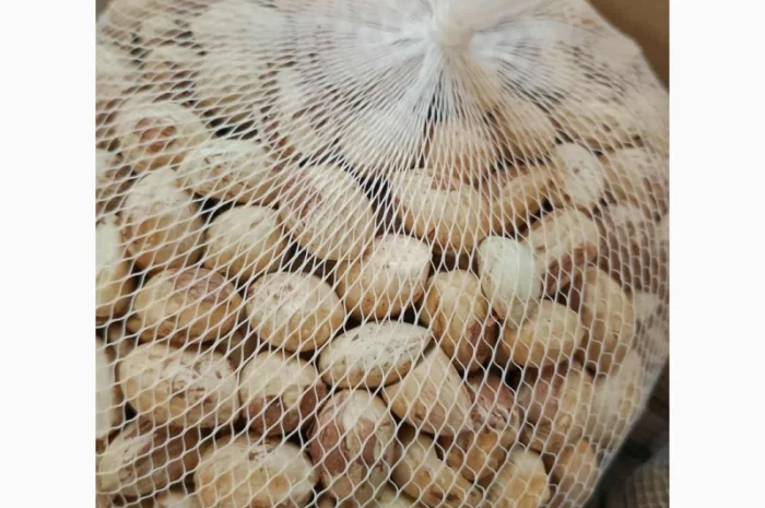 Продам орех Фундук (очищенный и неочищенный)- фото № 3