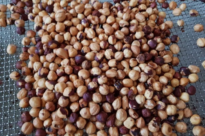 Фундук (13-15) Жареный Турция- фото № 1