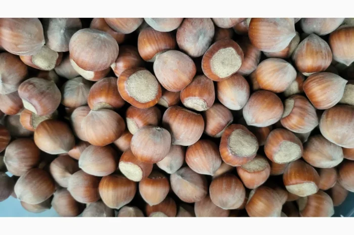 Барсилонский фундук кплю- фото № 1