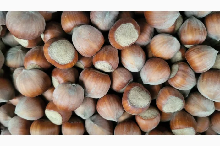 Барсилонский фундук кплю- фото № 2