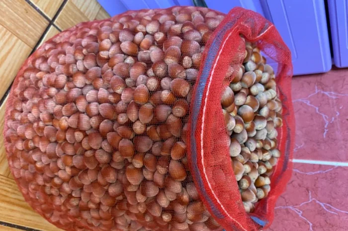 Продам фундук- фото № 2