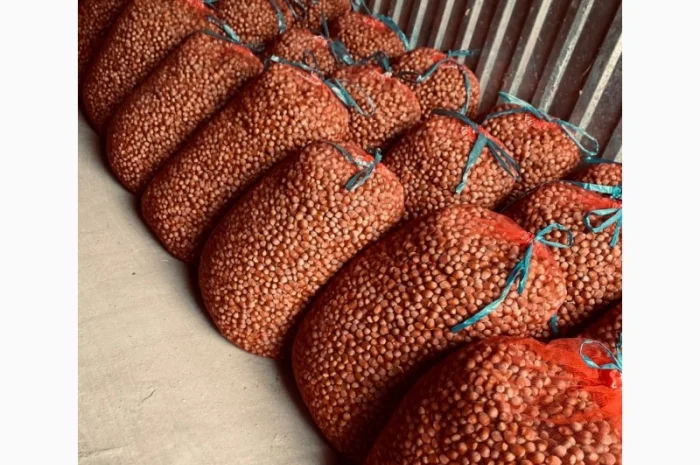 Продам фундук- фото № 3