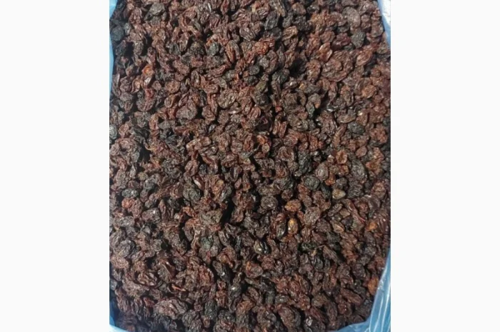 Изюм Узбекистан Кондитерский- фото № 1