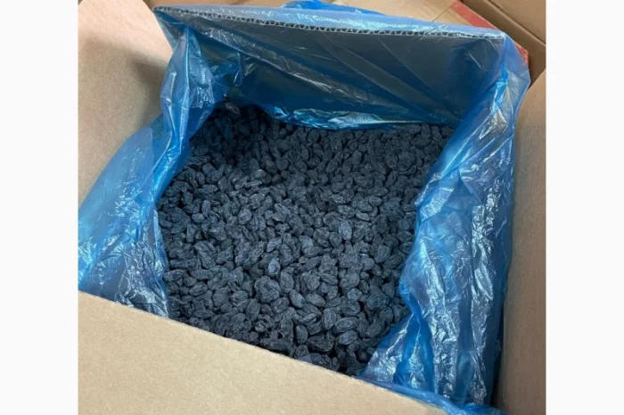 Изюм Термо- фото № 1