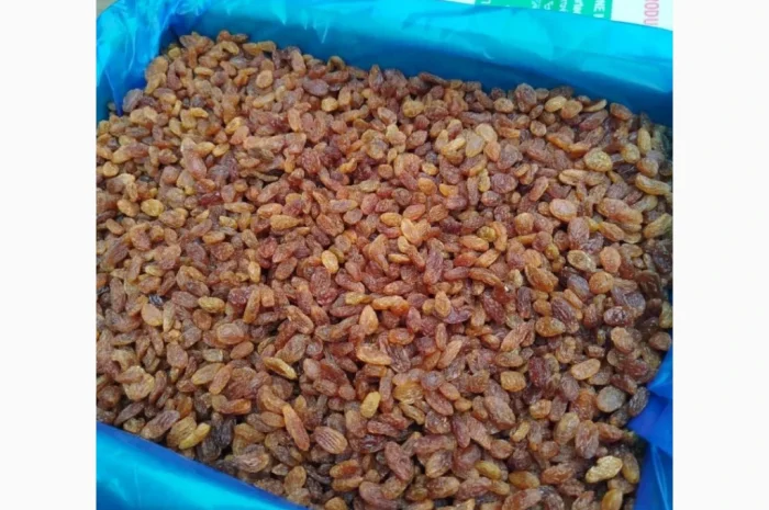 Ізюм Іран оптом та в роздріб- фото № 1