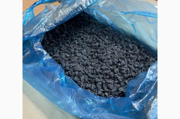 Изюм Офтоби- фото № 1