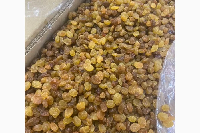 Изюм светлый Иран- фото № 1