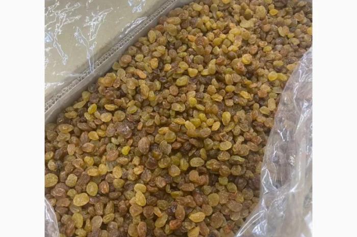 Изюм светлый Иран- фото № 3