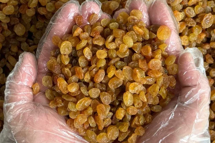 Родзинка- фото № 1