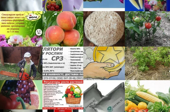 Регуляторы роста рослин- фото № 3