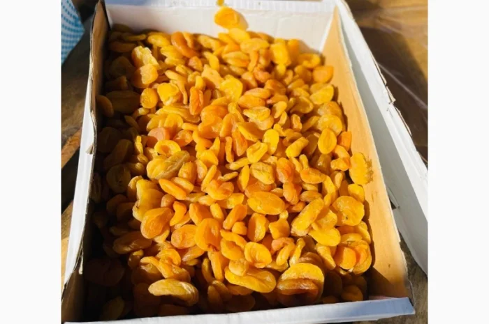 Курага Афганистан Индустриал - оптовая продажа- фото № 2