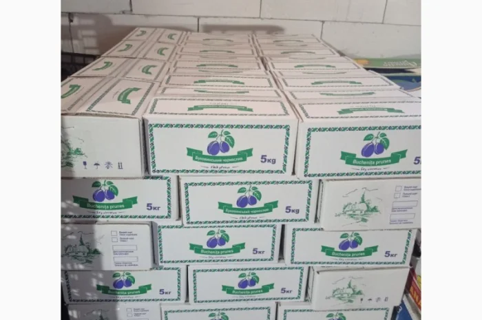 Чорнослив без диму вялений- фото № 1