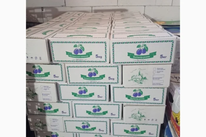 Чорнослив без диму вялений- фото № 2