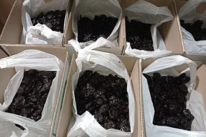 Чорнослив без диму вялений- фото № 3