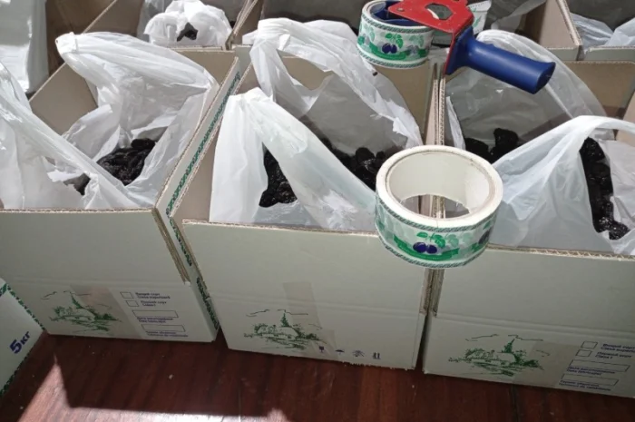 Чорнослив без диму вялений- фото № 4