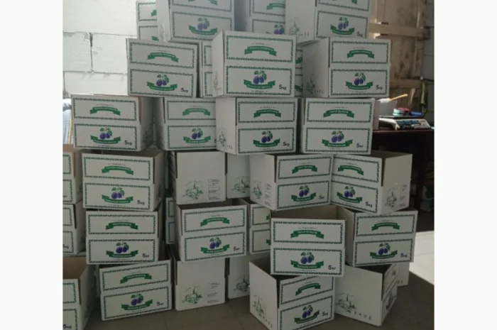 Чорнослив без диму вялений- фото № 5